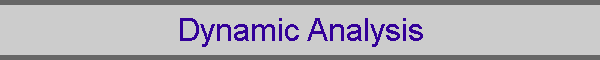 Dynamic Analysis