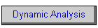 Dynamic Analysis